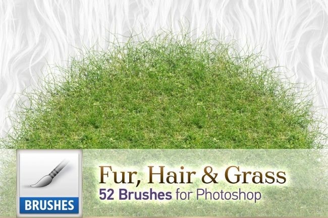 براش های Fur, Hair و Grass برای نرم افزار فتوشاپ