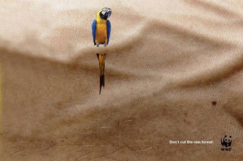 تبلیغ WWF: جنگل های بارانی را از بین نبرید!