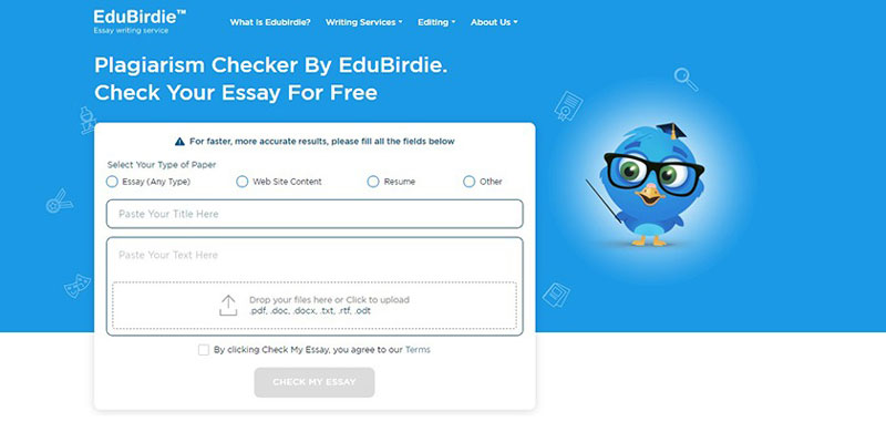بررسی کپی بودن محتوا با ابزار Edubirdie